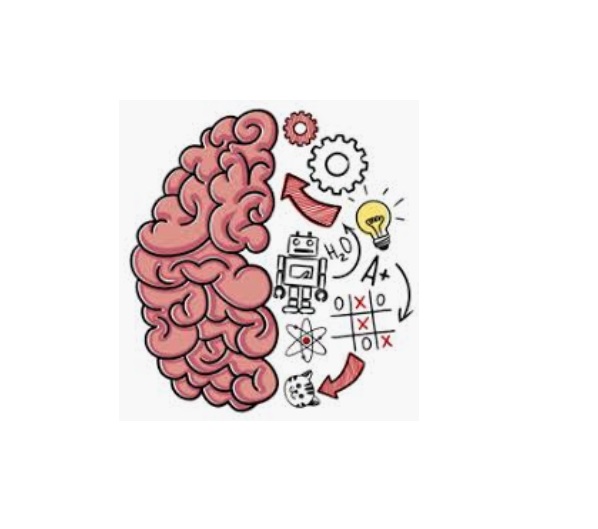 Brain Test -Evde Oynanacak Eğitici Dijital Oyunlar