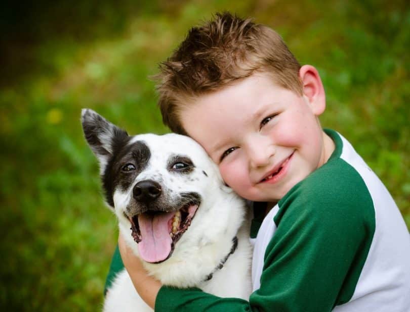 Evcil Hayvanlar Çocuklara Empati Kurmayı Öğretiyor