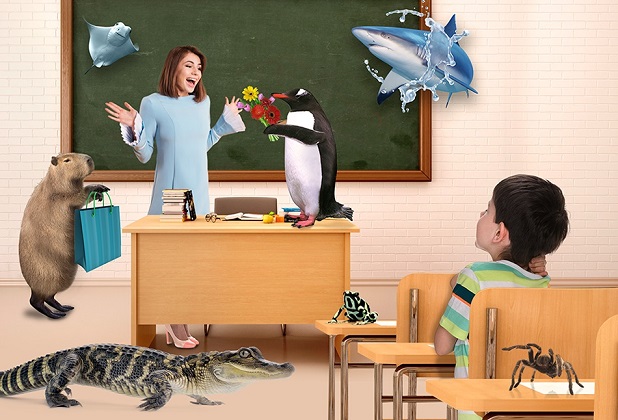 İstanbul Akvaryum Öğretmenlere Ücretsiz!