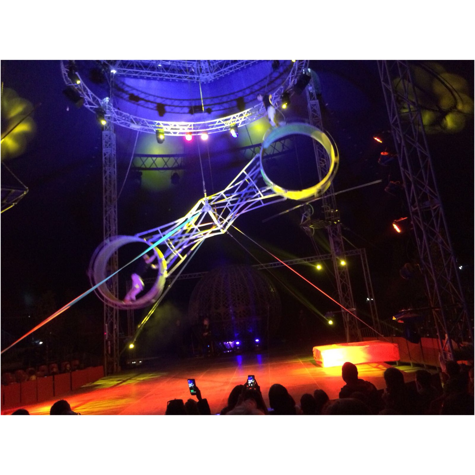 Circo Bellucci Hayvan Dostu Sirk Deneyimimiz