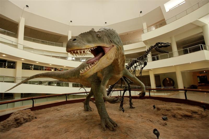 MTA Tabiat Tarihi Müzesi'ni Gezdik!