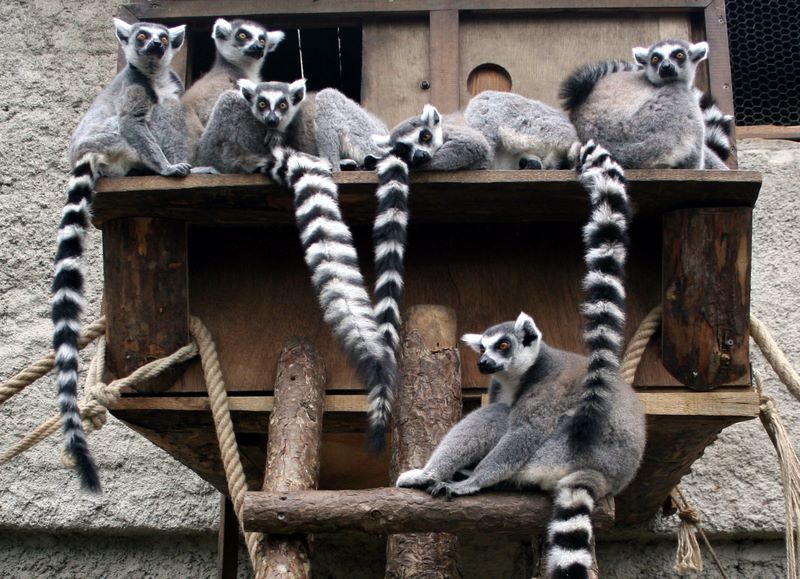 İzmir Doğal Yaşam Parkı